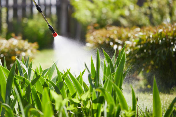 24/7 Emergency Mosquito Control experts in Jenkintown, PA